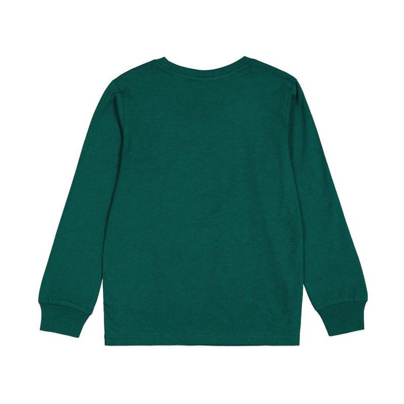 Champion crewneck t-shirt green