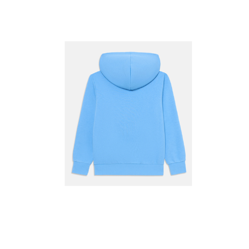 Champion hoddie blue Jr.