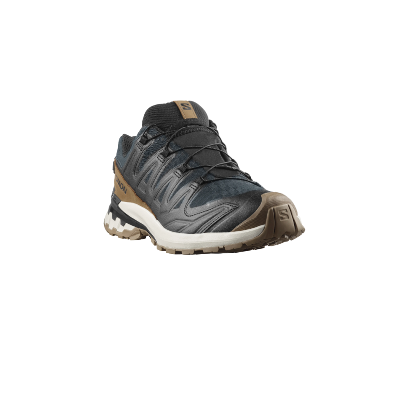 Salomon xa pro 3d v9 gtx lifelong Mblack/coyote brown/banilla ice