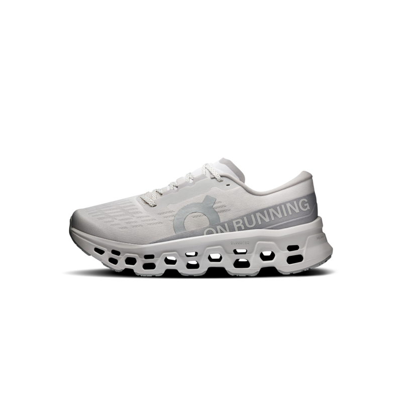 On cloudmonster 3 Wolf/wolf