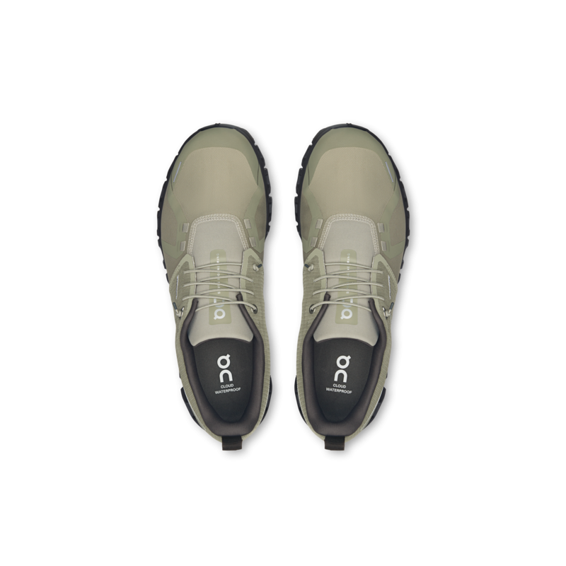 On cloud 6 WP Olive/espresso