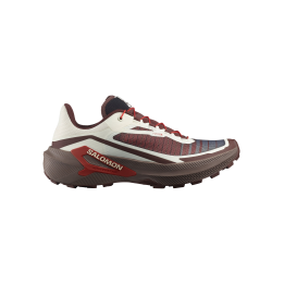 Salomon genesis 2 Vanilla ice/iron/lava falls