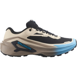 Salomon Genesis 2 GTX oxford tan/walnut/niagara