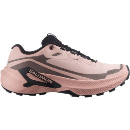 Salomon Genesis 2 GTX W Shadow gray/iron/black