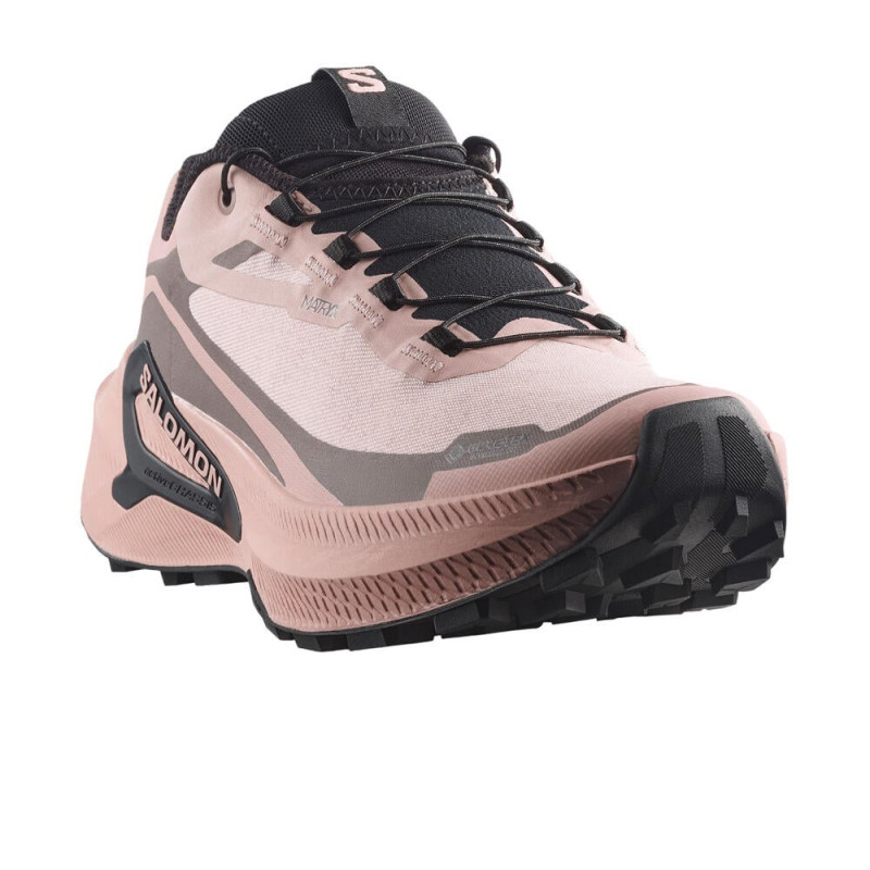 Salomon Genesis 2 GTX W Shadow gray/iron/black