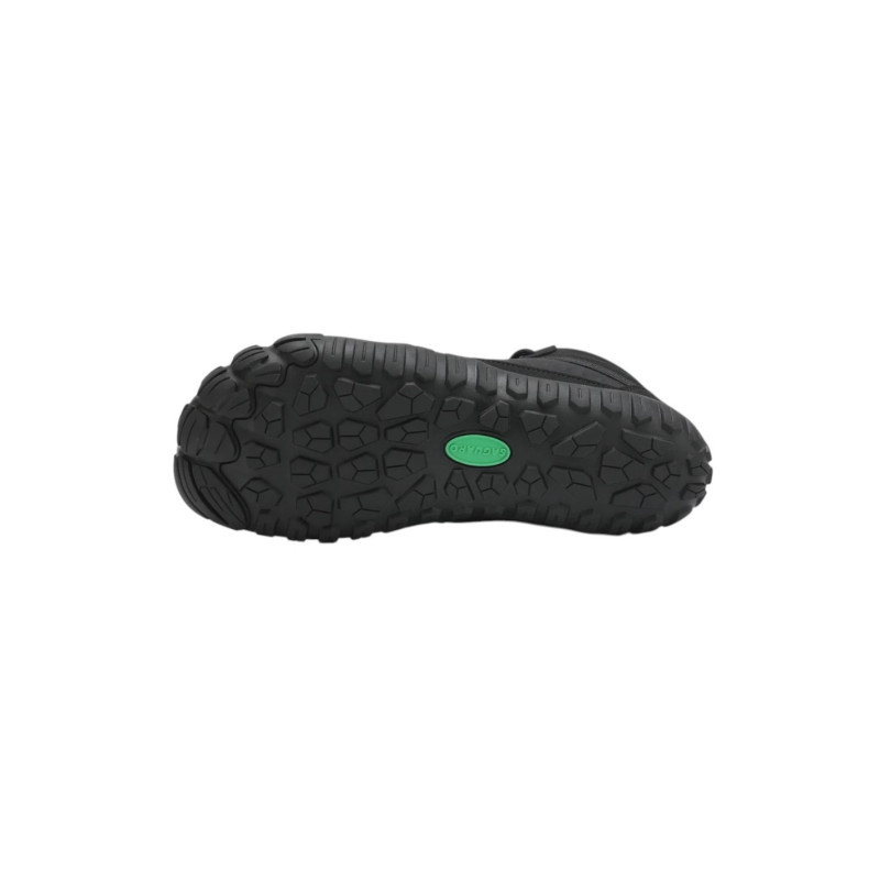 Saguaro Will I lite black