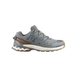 Salomon xa pro 3d v9 gtx Sedona sage/coyote brown/vanilla ice