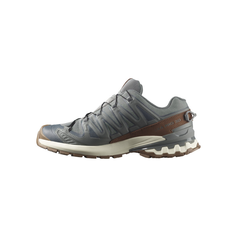 Salomon xa pro 3d v9 gtx Sedona sage/coyote brown/vanilla ice