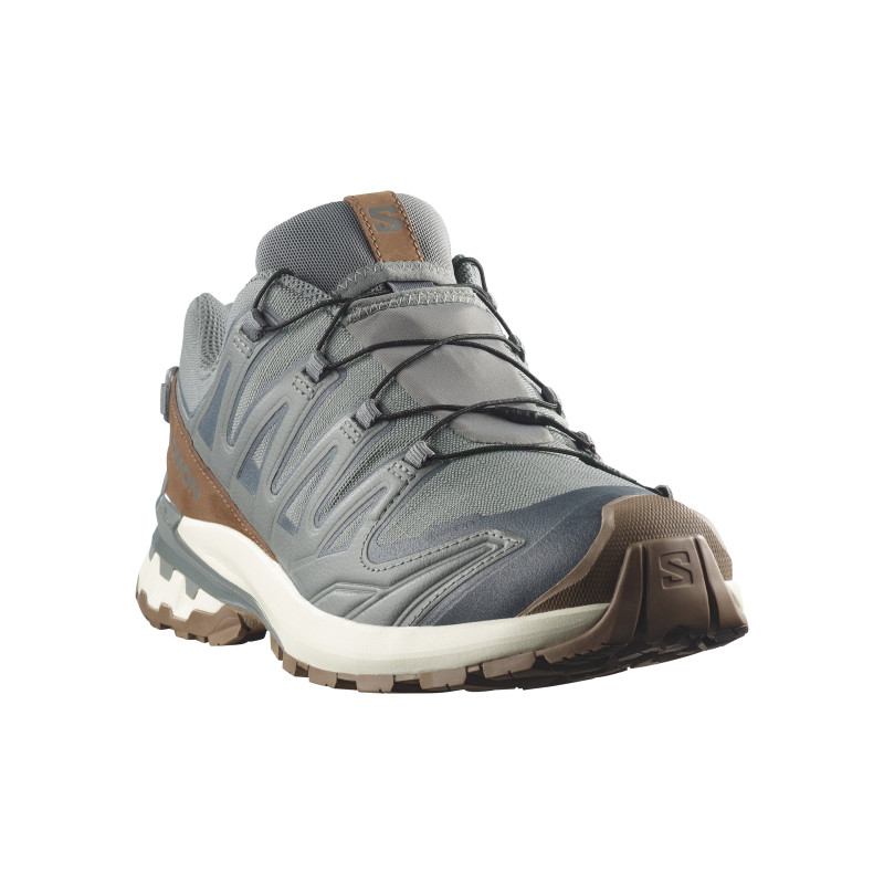 Salomon xa pro 3d v9 gtx Sedona sage/coyote brown/vanilla ice