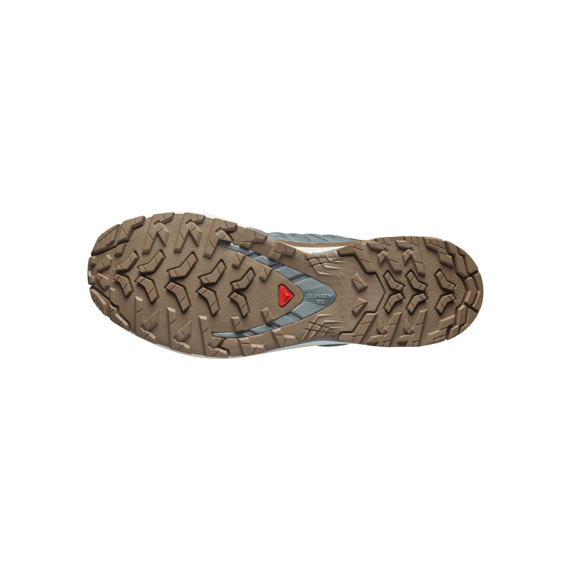 Salomon xa pro 3d v9 gtx Sedona sage/coyote brown/vanilla ice