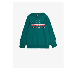 Champion Crewneck sweatshirt green
