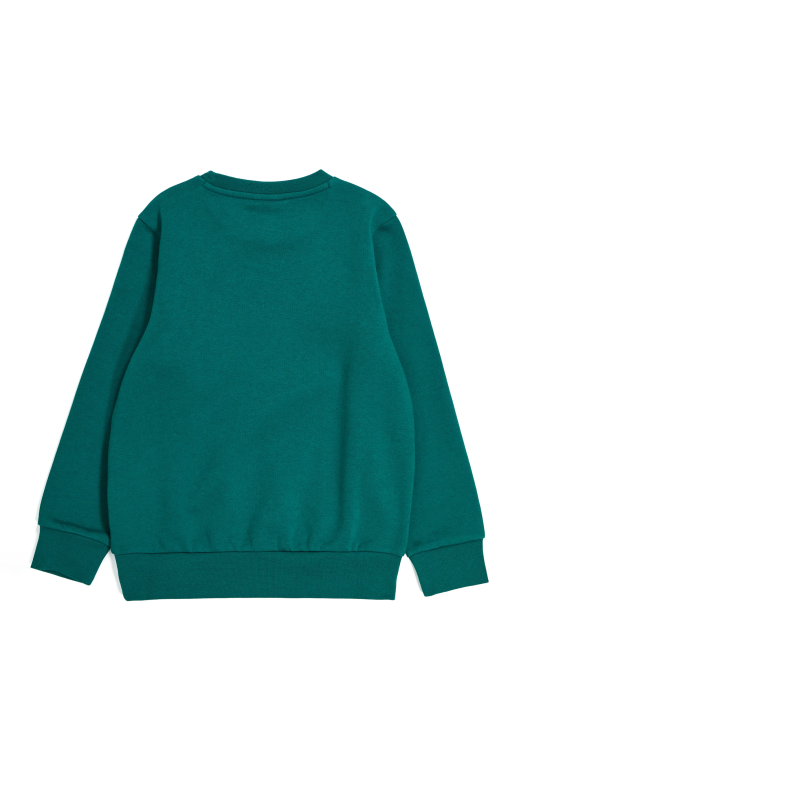 Champion Crewneck sweatshirt green